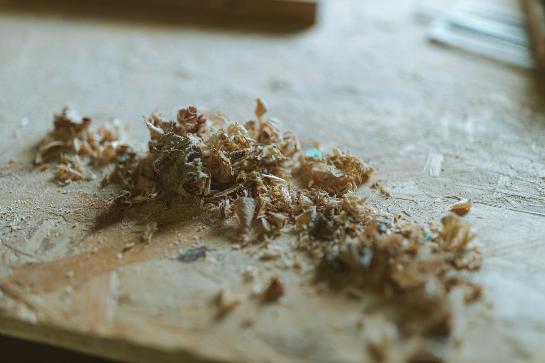 close up shot of sawdust